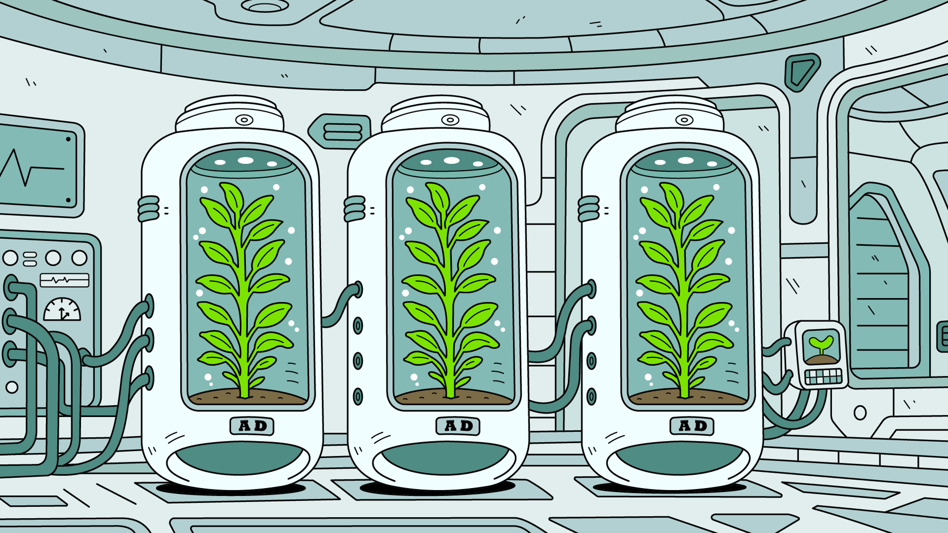 킹콩애드 식물 PC